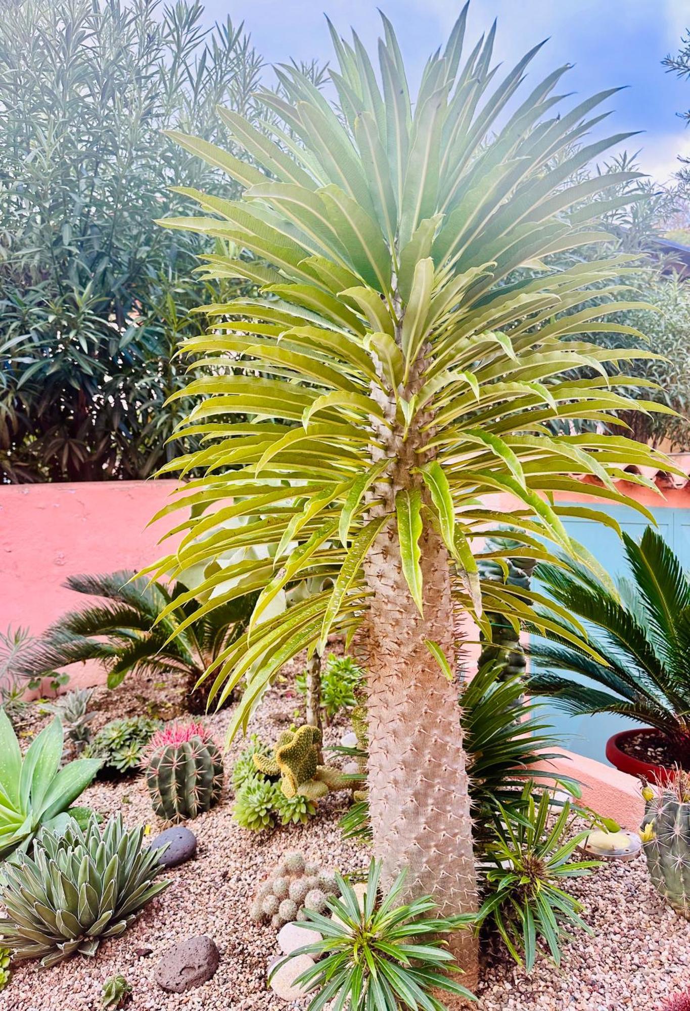 Il Giardino Davanti Al Mare Орозеи Экстерьер фото
