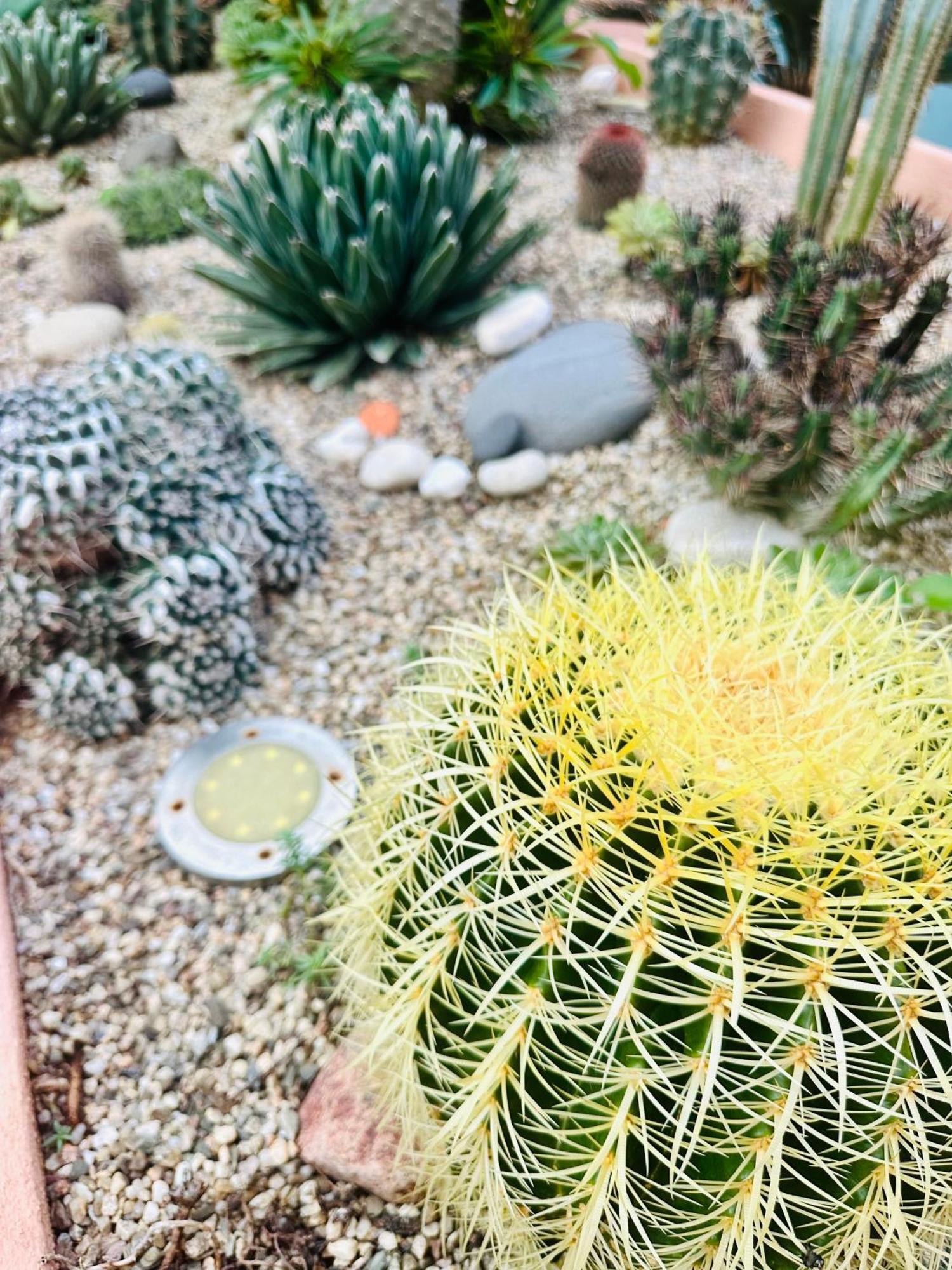 Il Giardino Davanti Al Mare Орозеи Экстерьер фото